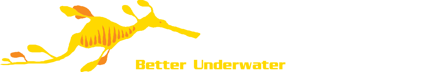 UWA Underwater Club