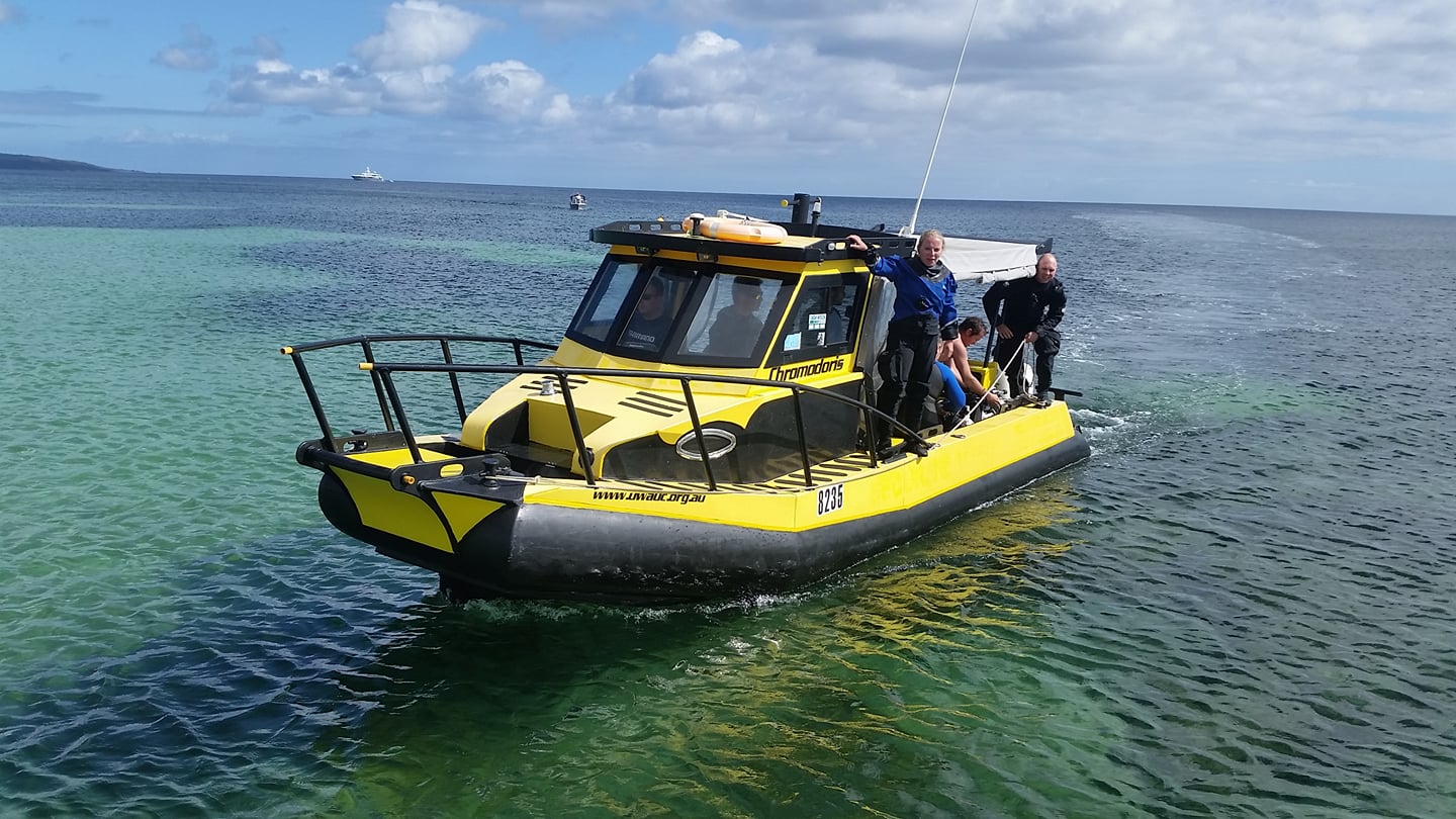 Busselton Jetty single dive (optional add on to Dunsborough trip)
